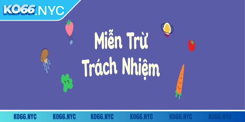 Miễn Trừ Trách Nhiệm 1 Vai trò của chính sách miễn trừ trách nhiệm KO66