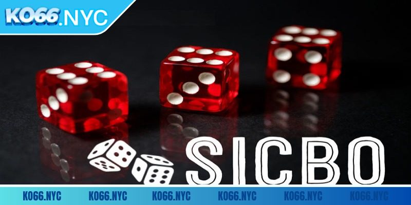 Sicbo KO66 - Top Game Chơi Hấp Dẫn Cực Kỳ Đáng Trải Nghiệm 2 Tìm hiểu luật chơi game Sicbo KO66 chi tiết nhất